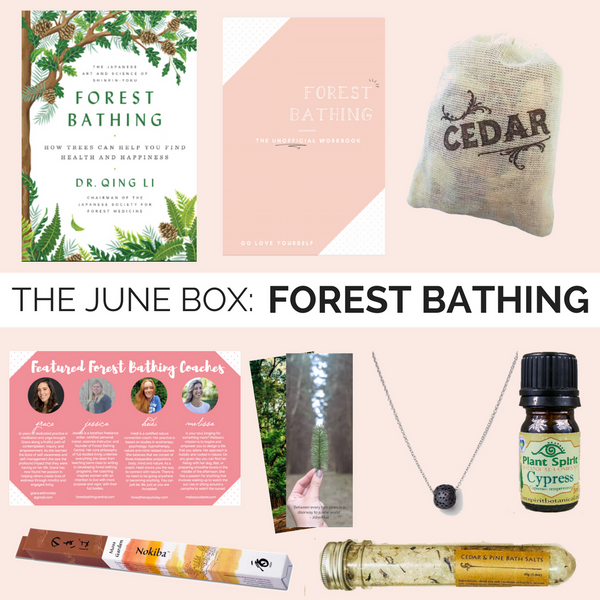 Forest Bathing Box